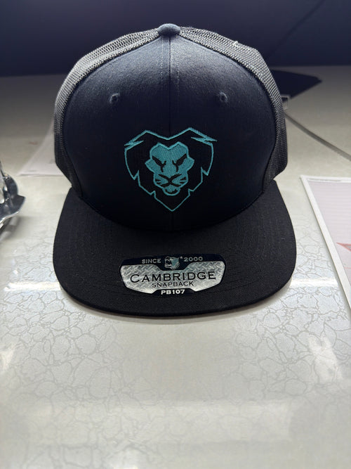 4 Him Co. Teal Lion Mesh Snapback Hat PB107 6-Panel