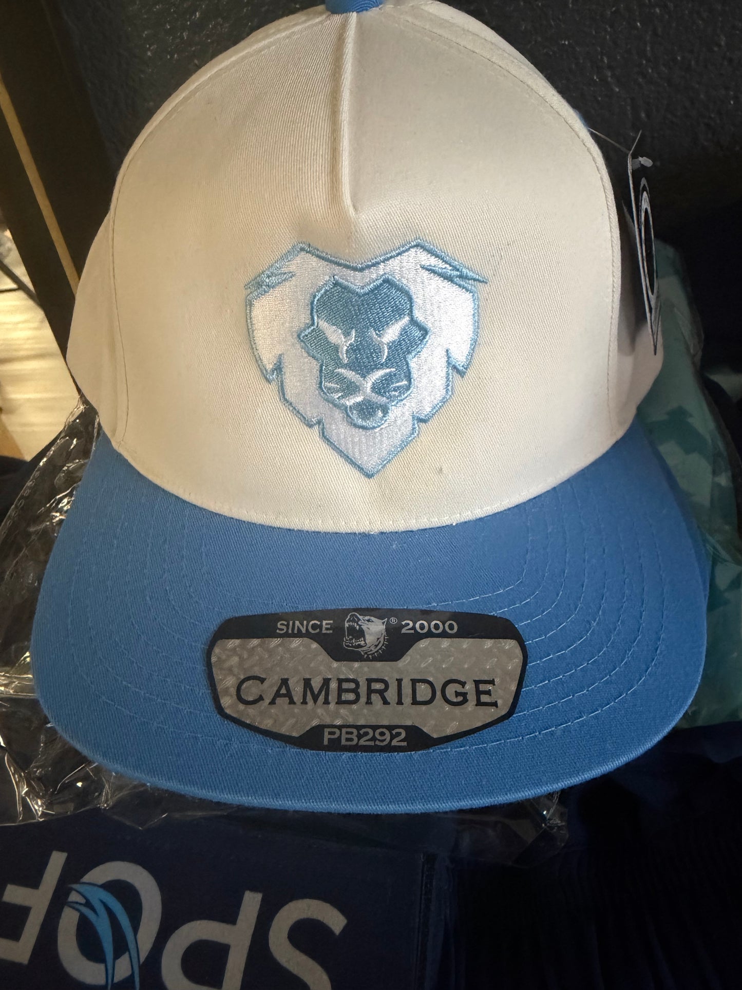 White & Baby Blue Snapback (Lion Logo)