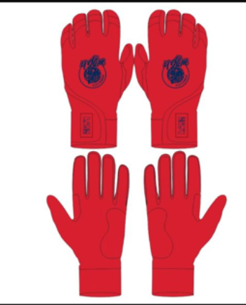 Red/Navy 2.0 Batting Gloves